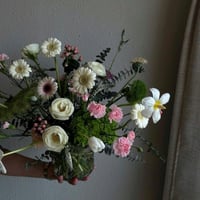 فازه بينك جربيرا