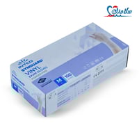 قفازات فحص فينيل INTCO