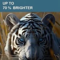 شاشة سرين 70 بوصة سمارت 4K بنظام WebOS — ريموت ماج...