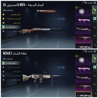 حساب ببجي العالمية LVL 66 مشحون 14 موسم + 8 اسلحه