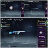 حساب ببجي العالمية LVL 66 مشحون 14 موسم + 8 اسلحه
