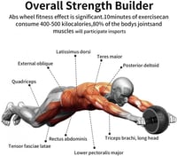 عجلة لتمارين البطن