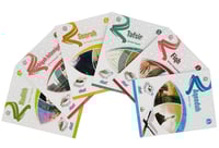 The Zad Academy Series - English Edition - Level 1