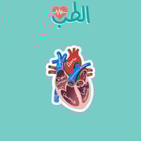 MEDICINE | اجزاء القلب