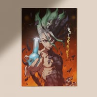 DR.STONE | سينكو
