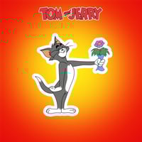 TOM AND JERRY | توم