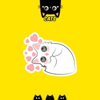 CUTE CAT | القطط الطريفة