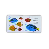 الرؤية واللمس والإحساس - الحيوانات