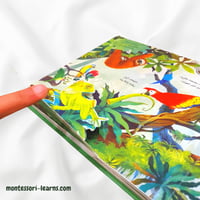 مملكة الحيوان ( الغابة)