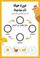 دورة حياة الحيوانات