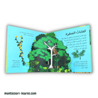 كتاب الغابة ثلاثي أبعاد