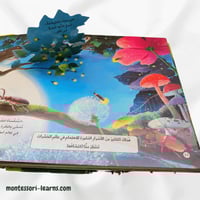 مملكة الحيوان ( الحشرات)