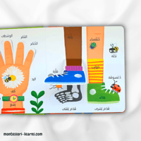 أول 100 كلمة جسمي