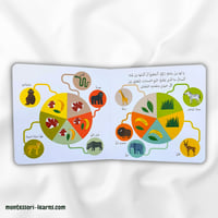 كتابي الأول الحيوانات البرية