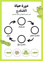 دورة حياة الحيوانات