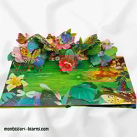 مملكة الحيوان ( الحشرات)