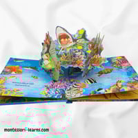 مملكة الحيوان ( المحيط)