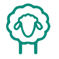 store avatar