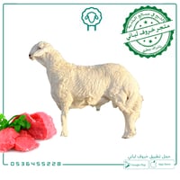 حري جذع - صدقات ونذر