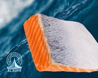 سالمون فيليه ( بالجلد )