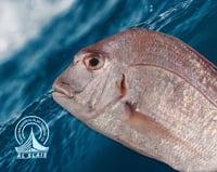 عندق وسط ( بلدي )