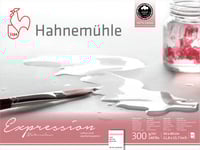 سكتش Expression المائي - A3 - Hahnemühle