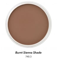 بان باستل بني محروق فاتح -740.3