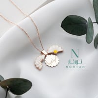 سلسال روز بالأسم