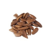 اوقيتين مروكي ضيافة الشخصيات المهمة VIP