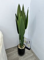 شجرة مركن سراميك