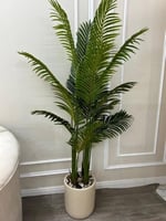 شجرة بحوض سراميك