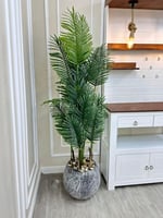 شجرة حوض سراميك