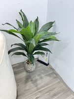 شجرة مركن سراميك