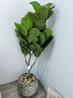 شجرة مركن سراميك