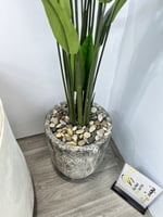 شجرة مركن سراميك