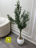 شجرة الزيتون