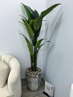 شجرة مركن سراميك