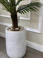 شجرة بحوض سراميك