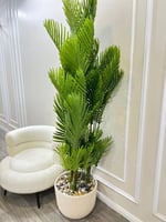 شجر مركن سراميك