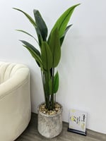 شجرة مركن سراميك