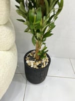 شجر مركن سراميك