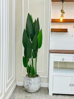 شجرة حوض سراميك