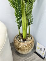 شجرة مركن سراميك