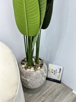 شجره مركن سراميك