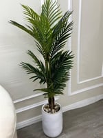 شجرة بحوض سراميك