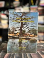 شهر في غرب إفريقية مشاهدات وأحاديث عن المسلمين "مح...