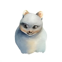 250+ لوحة مائية رائعة لحيوانات صغيرة من السفاري، ص...