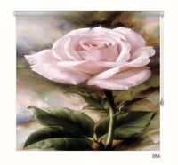 ستائر رول ثري دي