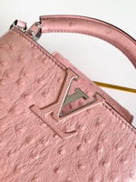 لوي فيتون Capucines مقاس 21cm