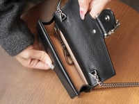 قوتشي ديونيسوس ميني مقاس 16.5cm